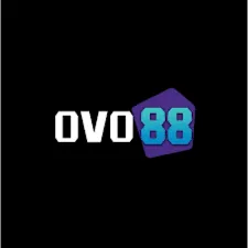 OVO88 - Game QiuQiu Terbaik untuk Pengalaman Seru